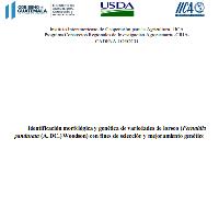 Identificación morfológica y genética de variedades de loroco (Fernaldia pandurata (A. DC.) Woodson) con fines de selección y mejoramiento genético