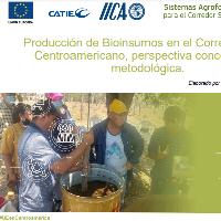 Producción de Bioinsumos en el Corredor Seco Centroamericano, perspectiva conceptual y metodológica