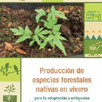Producción de especies forestales nativas en vivero para la adaptación y mitigación del cambio climático en Cundinamarca