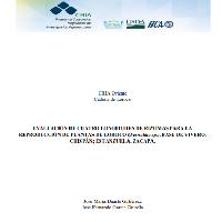 Evaluación de cuatro longitudes de rizomas para la reproducción de plantas de loroco (Fernaldia sp.), fase de vivero. Chispán; Estanzuela, Zacapa