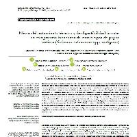 Efecto del tratamiento térmico y de digestibilidad in vitro en compuestos bioactivos de cuatro tipos de papas nativas (Solanum tuberosum spp. andigena)