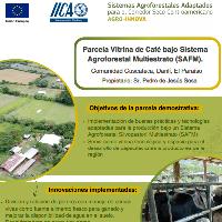 Parcela Vitrina de Café bajo Sistema Agroforestal Multiestrato (SAFM). Comunidad Cuscateca, Danlí, El Paraíso