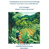 Climate Finance Course. Final report