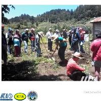 Socialización PMI Papa, Región Occidente / IICA-CRIA