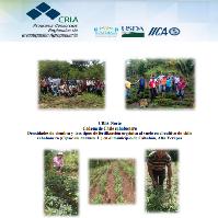 Densidades de siembra y tres tipos de fertilización orgánica al suelo en el cultivo de chile cahabonero (Capsicum annuum L.) en el municipio de Cahabón, Alta Verapaz