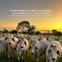 Construyendo un enfoque regional de ganadería bovina sostenible: Una primera experiencia en el Cono Sur y Bolivia