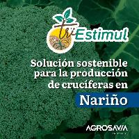 TriEstimul: Solución sostenible para la producción de crucíferas en Nariño