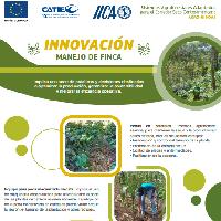 Innovación manejo de finca