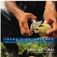 Ideas y soluciones para restauración de productos forestales sostenibles. Azul natural de la Jagua para exportación