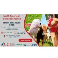 Webinar Day 2 - Part 1: on Priority Animal Diseases in 2024 - African Swine Fever