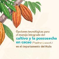 Opciones tecnológicas para el manejo integrado del cultivo y la poscosecha en cacao (Theobroma cacao L.) en el departamento del Huila