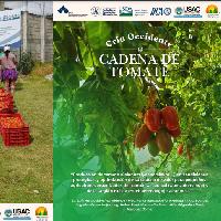 Producción de tomate (Solanum lycopersicum L.) en condiciones protegidas y optimización de su cadena de valor para pequeños agricultores organizados del cantón Xecaracoj (Quetzaltenango) y de la Región Huista (Huehuetenango), Guatemala