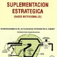 Suplementación Estratégica (Bases Nutricionales)