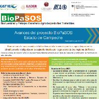 Avances del proyecto BioPaSOS Estado de Campeche