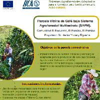 Parcela Vitrina de Café bajo Sistema Agroforestal Multiestrato (SAFM). Comunidad El Recuerdo, El Paraíso, El Paraíso