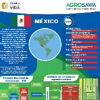 México Datos