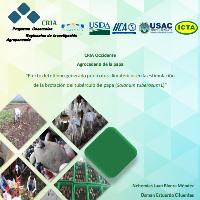 Efecto del etileno generado por frutos climatéricos en la estimulación de la brotación del tubérculo de papa (Solanum tuberosum L)