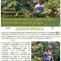 Sistema agroforestal con café, frutales, bio-insumos y cosecha de agua, comunidad de Las Barrancas, El Paraíso, El Paraíso.