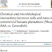 Chemical and microbiological interactions between soils and roots in commercial banana plantations (Musa AAA, cv. Cavendish)