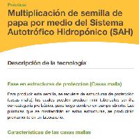 Práctica: Multiplicación de semilla de papa por medio del Sistema Autotrófico Hidropónico (SAH)