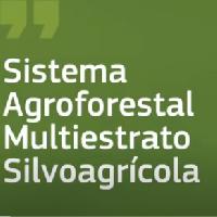 Sistema agroforestal multiestrato silvoagrícola