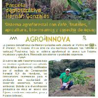 Sistema agroforestal con café, frutales, apicultura, bio-insumos y cosecha de agua