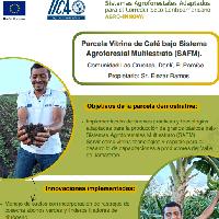 Parcela Vitrina de Café bajo Sistema Agroforestal Multiestrato (SAFM). Comunidad Las Crucitas, Danlí, El Paraíso