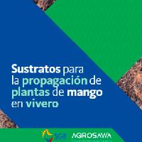 Sustratos para la propagación de plantas de mango en vivero