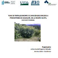Plan de fortalecimiento de capacidades dirigido a productores de aguacate, de la región Huista, Huehuetenango