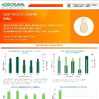 Contexto de cadena piña