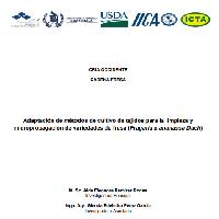 Adaptación de métodos de cultivo de tejidos para la limpieza y micropropagación de variedades de fresa (Fragaria x ananassa Duch)