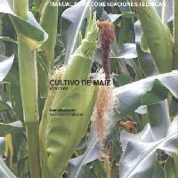 Cultivo de maíz (Zea mays)