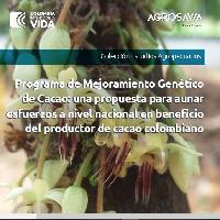 Programa de mejoramiento genético de cacao en Colombia: una propuesta para aunar esfuerzos a nivel nacional en beneficio del productor de cacao colombiano