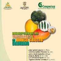 Descripcion de las variedades de mango criollo colombiano