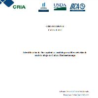 Identificación de flora apícola y análisis para diferenciación de miel de abeja en Cuilco, Huehuetenango