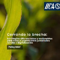 Cerrando la brecha: estrategias diferenciadas y accionables para crear el puente entre juventudes rurales y digitalización
