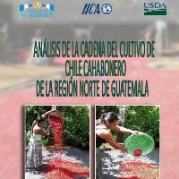 Análisis de la cadena de cultivo de chile cahabonero de la Región Norte de Guatemala