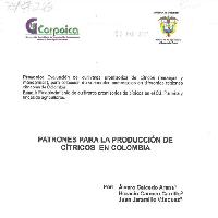 Patrones para la producción de cítricos en Colombia