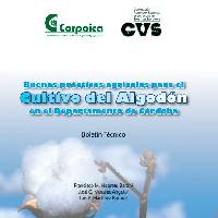 Buenas prácticas agrícolas para el cultivo del algodón en departamento de Córdoba-