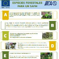 Especies forestales para un SAFM