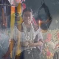 El cacao en la región norte de Guatemala