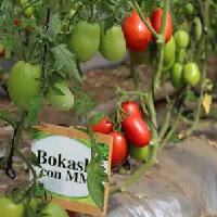 Bocashi con microorganismos de montaña