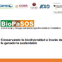 Conservando la biodiversidad a través de la ganadería sustentable