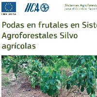 Podas en frutales en sistemas agroforestales silvoagrícolas