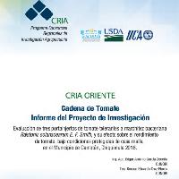 Evaluación de tres portainjertos de tomate tolerantes a marchitez bacteriana Ralstonia solanacearum E. F. Smith, y su efecto sobre el rendimiento de tomate, bajo condiciones protegidas de casa malla, en el Municipio de Camotán, Chiquimula