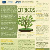 Plan de manejo de especies cítricos