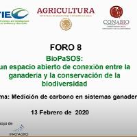 Foro 8: BioPaSOS Medición de carbono en sistemas ganaderos