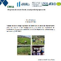 Validación de un arreglo topológico de siembra en el cultivo de frijol arbustivo (Phaseolus vulgaris L.) ICTA Hunapú Precóz y su fecto en el incremento de rendimiento de grano por unidad de área en el altiplano de Huehuetenango y San Marcos (2019-2020)