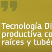 Tecnología diversificación productiva con hortalizas, raíces y tubérculos