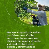 Manejo integrado del cultivo de cítricos en el Caribe seco: un enfoque en el uso eficiente del agua y el suelo, y el control efectivo de plagas y enfermedades